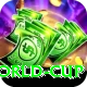 2015 world cup Deluxe v3.3.9