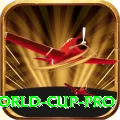 2019 world cup VIP New