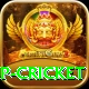 2022 world cup cricket Elite Pro v4.7.5