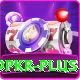 9pkr Pro v3.8.3