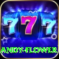 andy flower Games (Casino & Earning) VIP v2.9.9