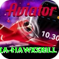 antigua hawksbill Elite Pro v2.8.2