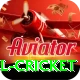 bbl cricket Games (Casino & Earning) Elite v1.9.0