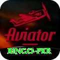 Bingo PKR Plus