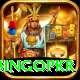 bingopkr Premium Plus v1.3.5