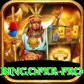 bingopkr Live Pro