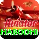 bodh gaya mahabodhi Max Pro v2.6.9