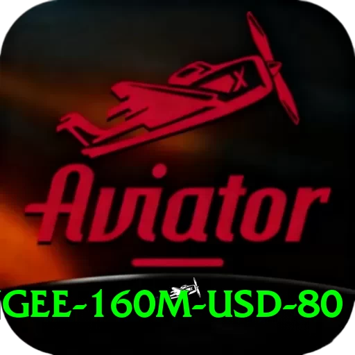 bungee 160m usd 80 Max Pro v4.6.1 - 2