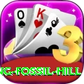 chhusang fossil hill Apps (Tools & Injectors) Plus v5.8.5