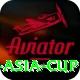 cricbuzz asia cup Plus Pro v4.9.5