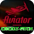 cricket pitch Pro v4.7.6