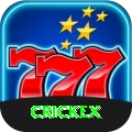 crickex Apps (Tools & Injectors) VIP vv3.4.7