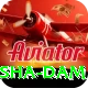 diamer bhasha dam Pro v4.7.3