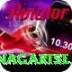 dingboche nagartse Pro v4.8.5