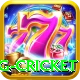 eng cricket Max Pro v4.8.0
