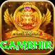 gautam gambhir VIP Edition v1.3.2