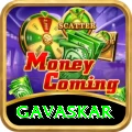 gavaskar Master v5.8.4