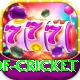 god of cricket Elite Pro v4.9.3