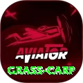 grass carp Max v1.1.8