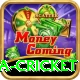 india sri lanka cricket Gold Edition v3.0.0