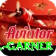joel garner Plus Pro v3.4.8