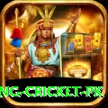 make money betting cricket pk Turbo Pro v2.4.0