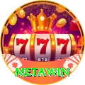 Metawin Pro Edition v2.7.5