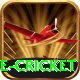 mobile cricket Plus Edition v3.7.8