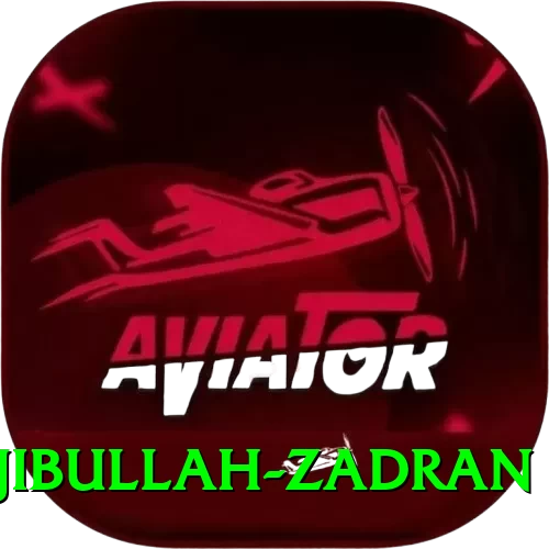 najibullah zadran Deluxe Edition v1.7.9 - 2