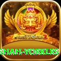 naseem shah yorkers Games (Casino & Earning) Gold v1.8.1