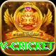 ndtv cricket Pro Edition v1.0.8