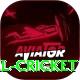 nepal cricket Turbo v5.4.8