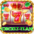 netherlands cricket team Pro1 v3.8.0