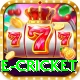 one cricket Gold Edition v2.9.5