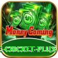 online cricket Max Pakistan