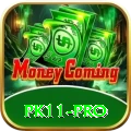 pk11 - Prime v4.6.7