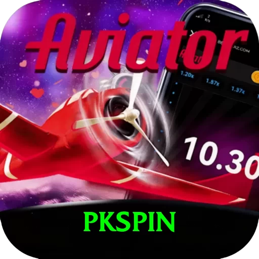 pkspin Pro Edition v5.5.4 - 2