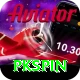 pkspin Pro Edition v5.5.4