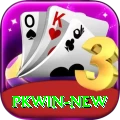 PKWin Ultimate New