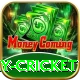 play cricket VIP v2.8.1