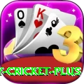 play cricket VIP Casino App