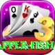 red snapper fish Max v5.8.7