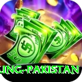 responsible gambling pakistan Elite Pro v3.1.7