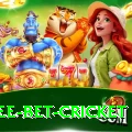 risk free bet cricket Ultimate v3.0.9