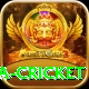 sa cricket Premium v5.1.2