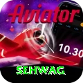 sehwag Premium Plus v4.5.3
