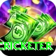 shahrukh khan cricketer Games (Casino & Earning) Plus v3.8.8