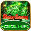 smart cricket live Deluxe Edition v4.9.8