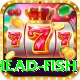 snake head fish Pro1 v2.9.4