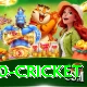t20 cricket Deluxe v1.4.7